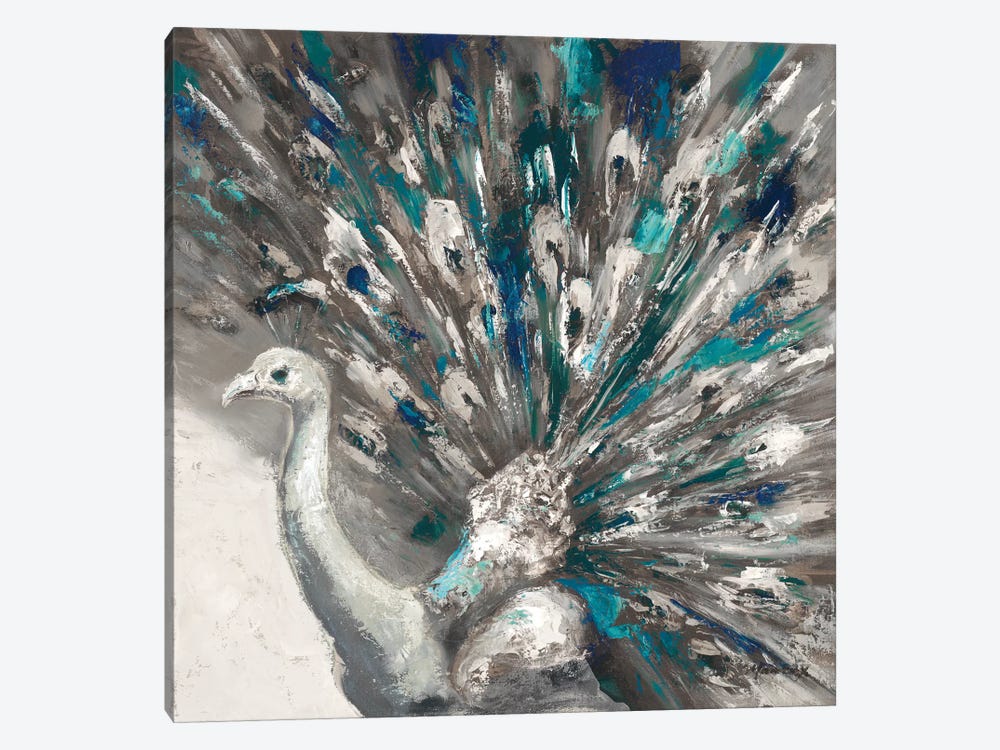 Proud Peacock II by Julianne Marcoux 1-piece Canvas Artwork