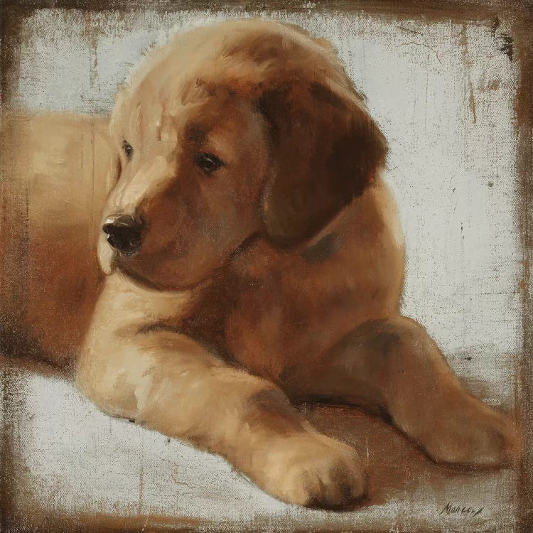 Retriever by Julianne Marcoux wall art