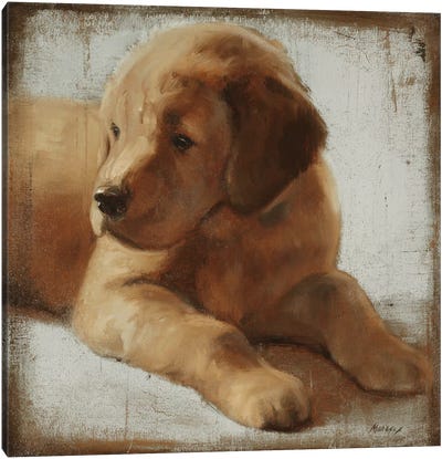 Retriever Canvas Art Print - Puppy Art