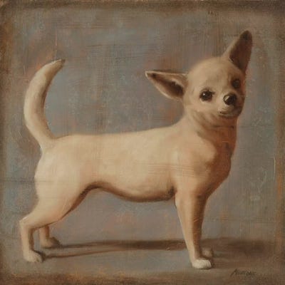 Chihuahua II by Julianne Marcoux metal wall art