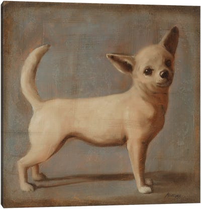 Chihuahua II Canvas Art Print