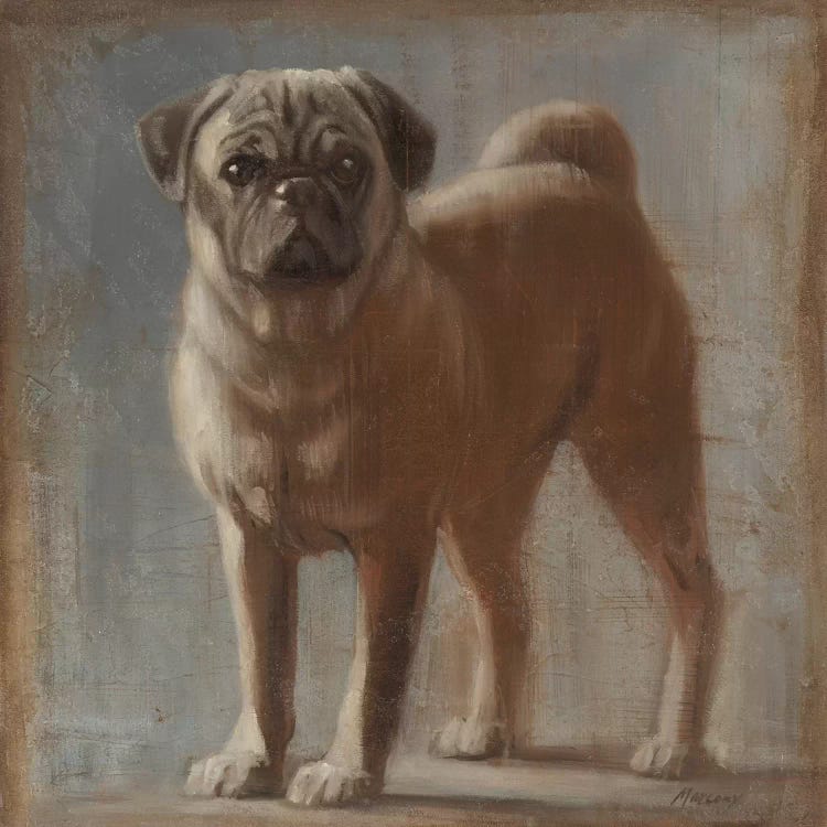 Pug II