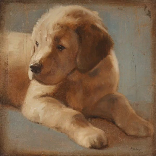 Julianne Marcoux: Retriever II by Julianne Marcoux