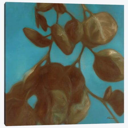 Eucalyptus II Canvas Print #JUM3} by Julianne Marcoux Canvas Art Print