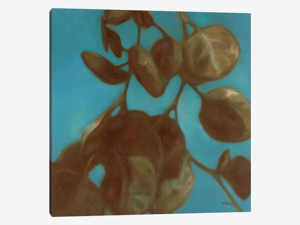 Eucalyptus II by Julianne Marcoux 1-piece Canvas Art Print