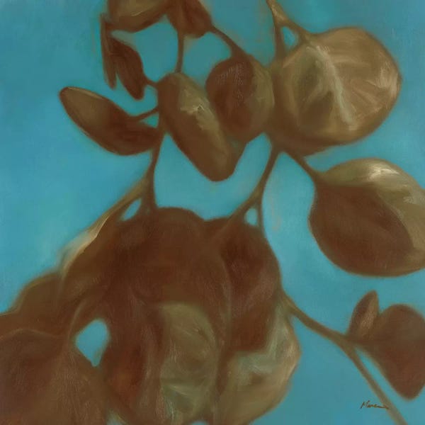 Julianne Marcoux: Eucalyptus II by Julianne Marcoux