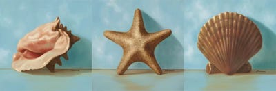 Shells Triptych by Julianne Marcoux multi panel art