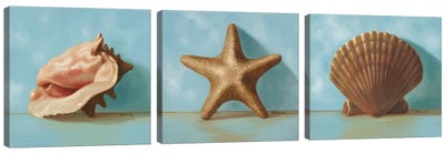 Shells Triptych Canvas Art Print - Starfish Art