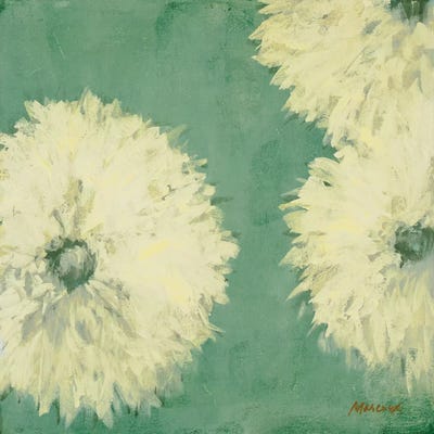 Floral Cache II by Julianne Marcoux canvas print