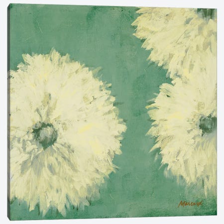 Floral Cache II Canvas Print #JUM9} by Julianne Marcoux Canvas Print