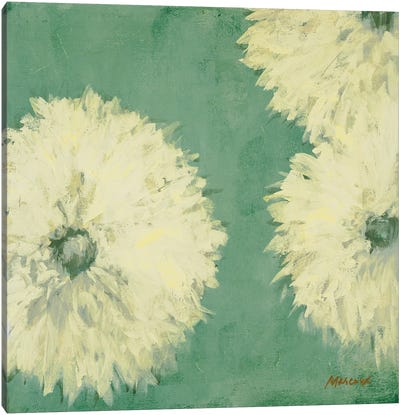 Floral Cache II Canvas Art Print