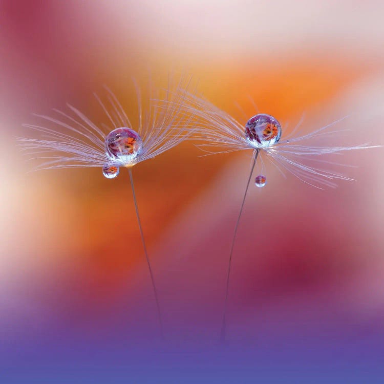Two Worlds by Juliana Nan wall art