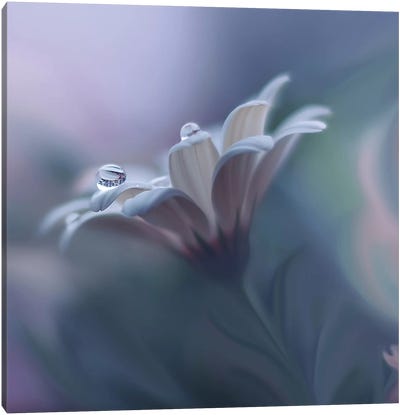 Behind Closed Eyes... Canvas Art Print - 1x Floral and Botanicals