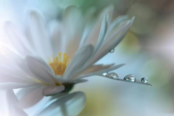 Juliana Nan