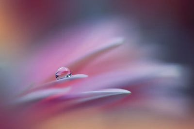 Sound Of Colors by Juliana Nan canvas print