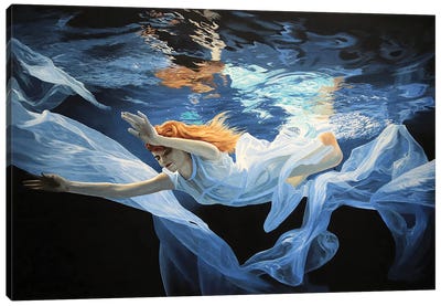 Aquatic Dreams Canvas Art Print - Julian Wheat