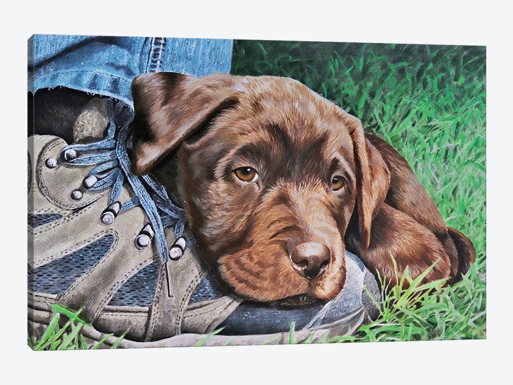 Chocolate Labrador Puppy by Julian Wheat 1-piece Canvas Art