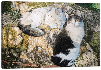 Pacha And Pixel Canvas Art Print - Julian Wheat