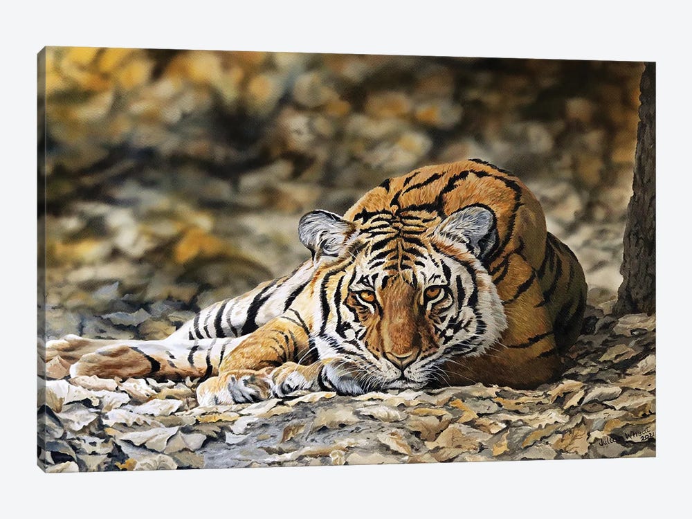 Forest Tiger by Julian Wheat 1-piece Canvas Print