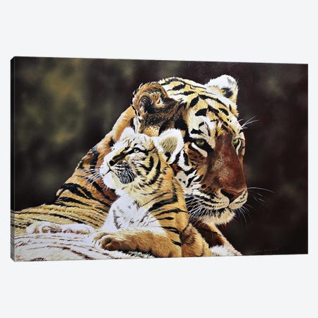 Tiger And Cub Canvas Print #JUW18} by Julian Wheat Canvas Art Print