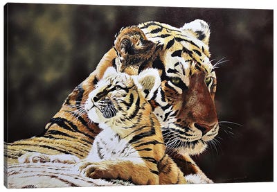 Tiger And Cub Canvas Art Print - Baby Animal Art