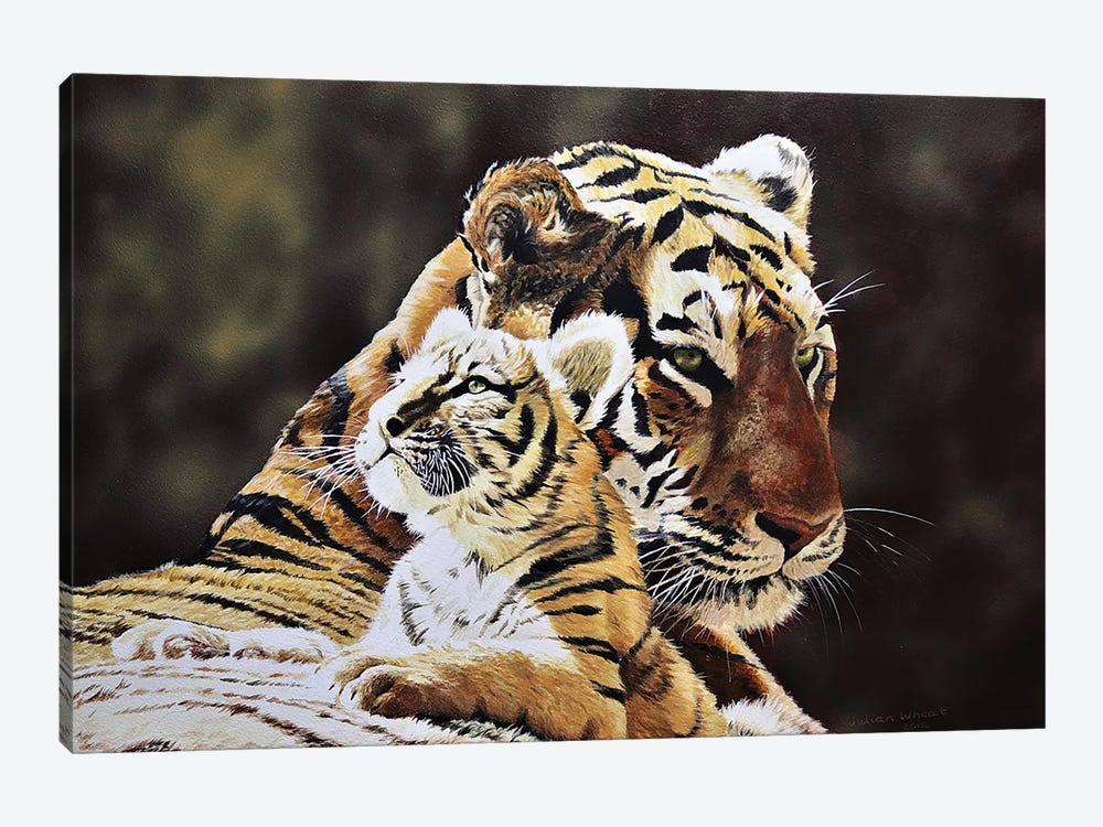 Tiger And Cub by Julian Wheat 1-piece Canvas Art