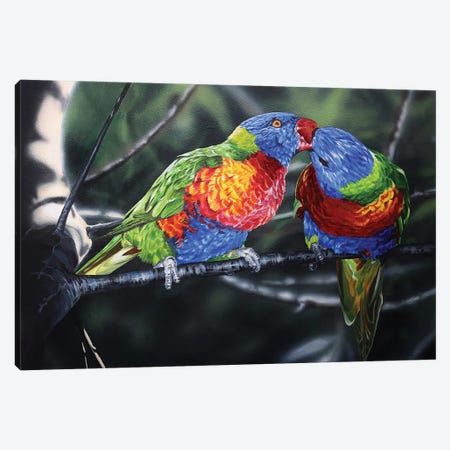 Macaws Canvas Print #JUW19} by Julian Wheat Art Print
