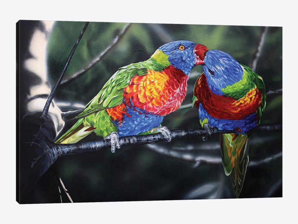Macaws by Julian Wheat 1-piece Canvas Art Print