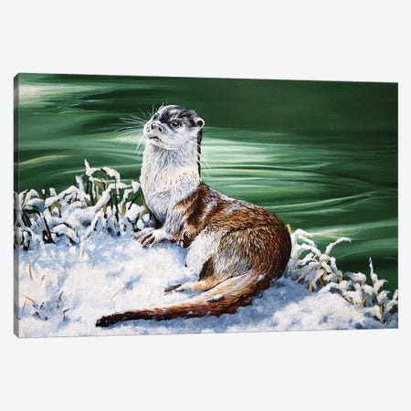 Otters Realm Canvas Print #JUW1} by Julian Wheat Canvas Art