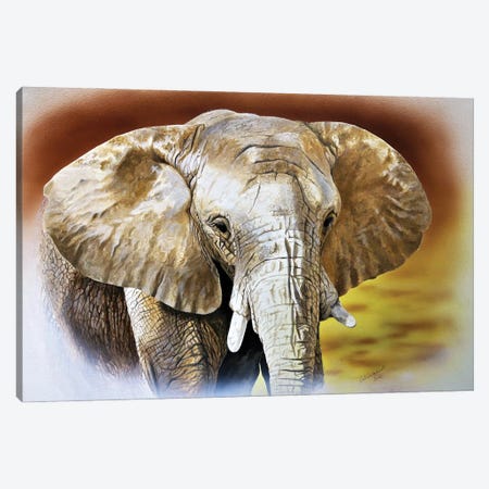 Solitary Elephant Canvas Print #JUW22} by Julian Wheat Canvas Art