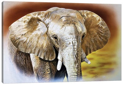 Solitary Elephant Canvas Art Print - Julian Wheat