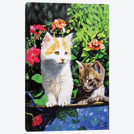 Kittens Canvas Print #JUW2} by Julian Wheat Canvas Artwork