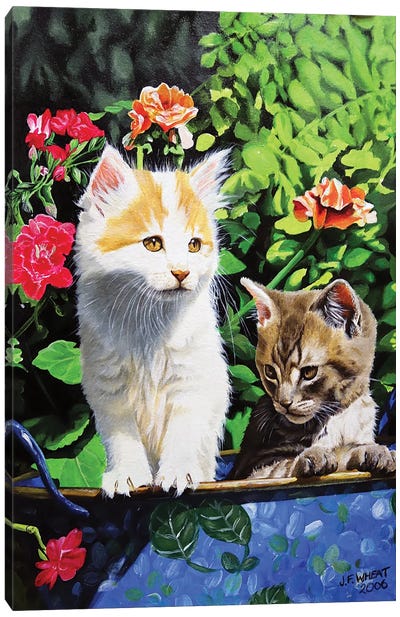 Kittens Canvas Art Print - Julian Wheat