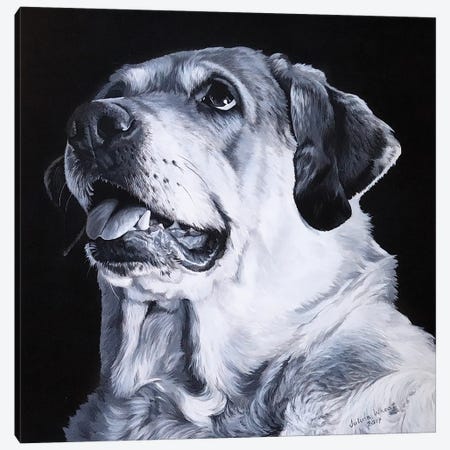 Monochrome Labrador Canvas Print #JUW40} by Julian Wheat Canvas Wall Art