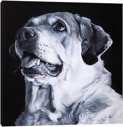 Monochrome Labrador Canvas Art Print - Julian Wheat