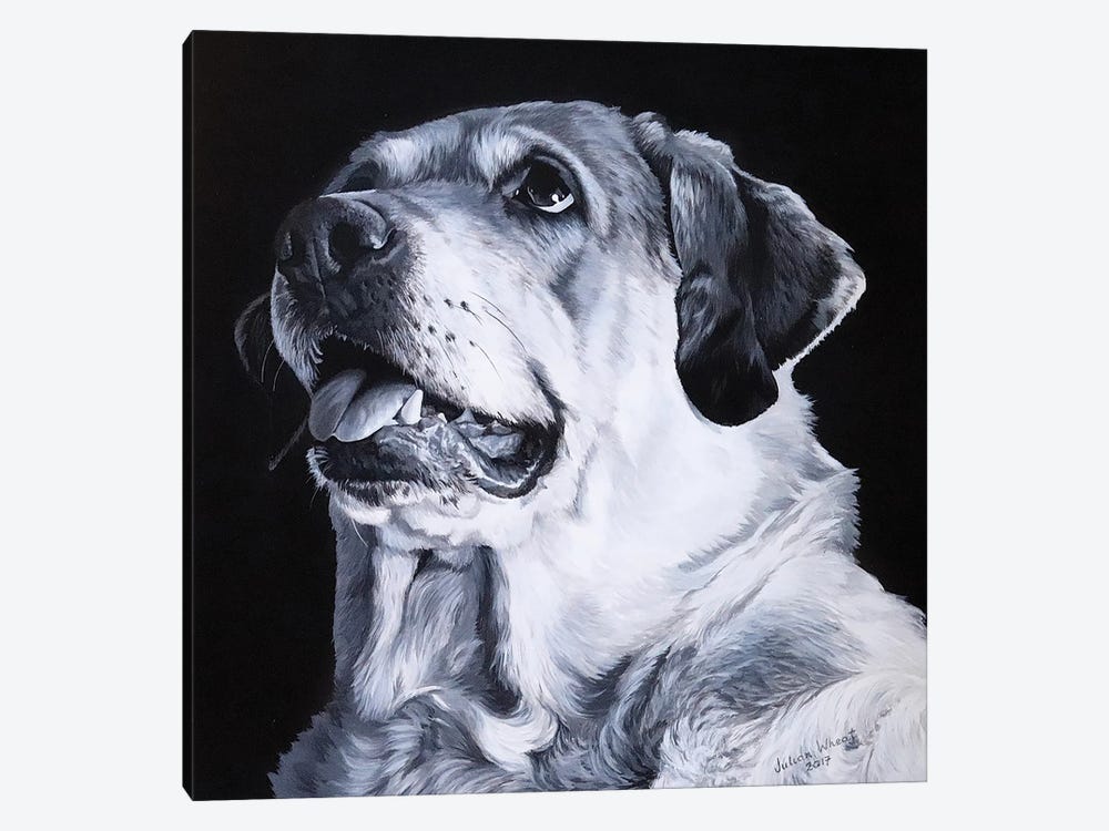 Monochrome Labrador by Julian Wheat 1-piece Art Print