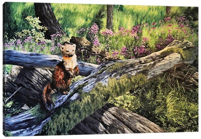 Forest Light Canvas Art Print - Moss Art