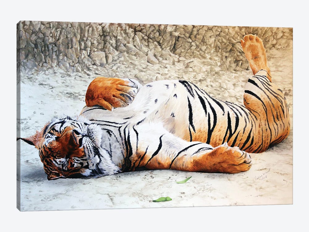 Tigers Siesta by Julian Wheat 1-piece Canvas Artwork
