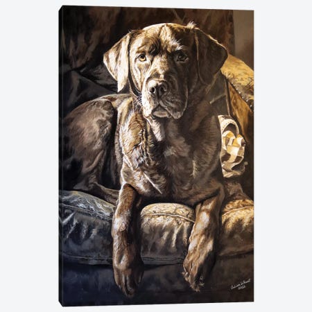 Mocha Chocolate Labrador Canvas Print #JUW47} by Julian Wheat Canvas Print