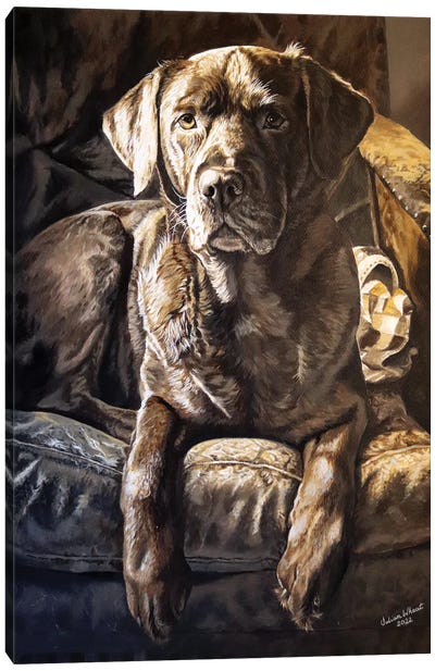 Mocha Chocolate Labrador Canvas Art Print - Labrador Retriever Art