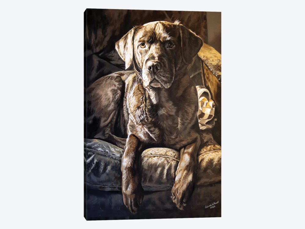 Mocha Chocolate Labrador by Julian Wheat 1-piece Canvas Artwork