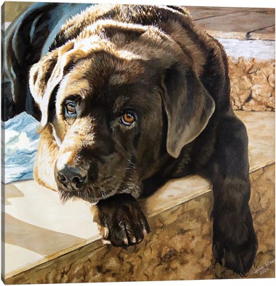 Kenko Chocolate Labrador Canvas Art Print - Labrador Retriever Art