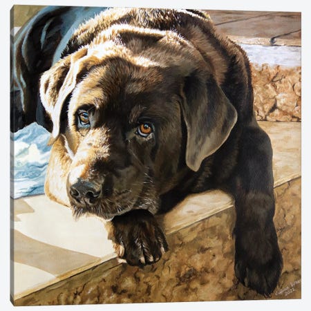 Kenko Chocolate Labrador Canvas Print #JUW48} by Julian Wheat Canvas Art