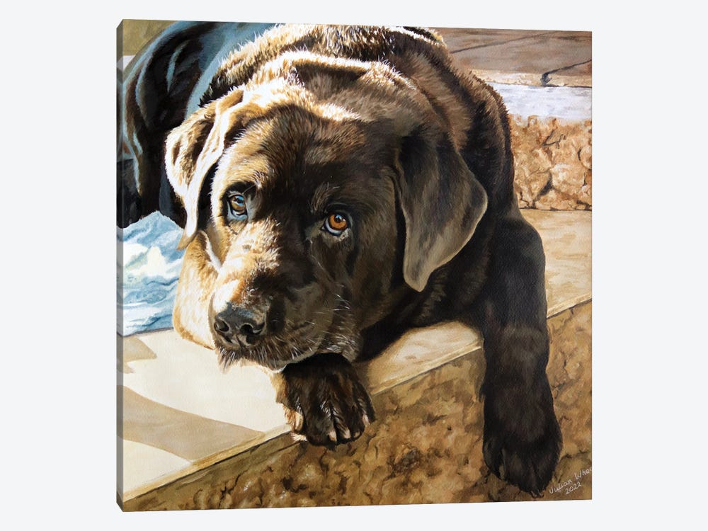 Kenko Chocolate Labrador by Julian Wheat 1-piece Canvas Art Print