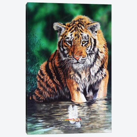 Tiger Cub Canvas Print #JUW49} by Julian Wheat Canvas Art