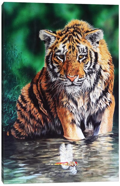 Tiger Cub Canvas Art Print - Julian Wheat