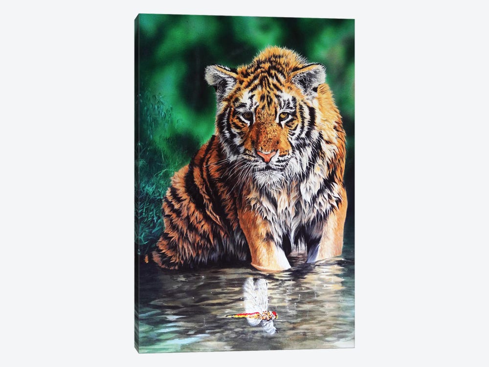 Tiger Cub by Julian Wheat 1-piece Canvas Art