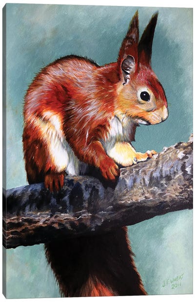 Red Squirrel Canvas Art Print - Julian Wheat