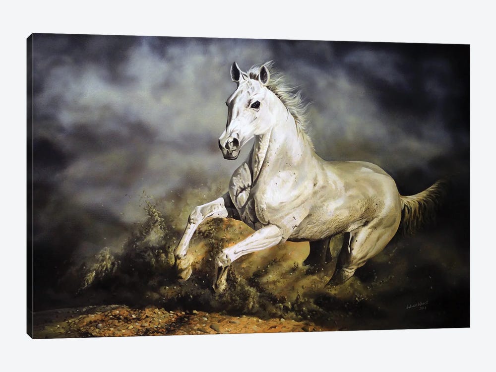 Arabian Thorough Bred Horse by Julian Wheat 1-piece Art Print