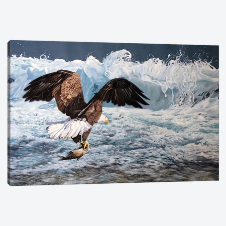 Pacific Rim Bald Eagle Canvas Print #JUW52} by Julian Wheat Canvas Art Print